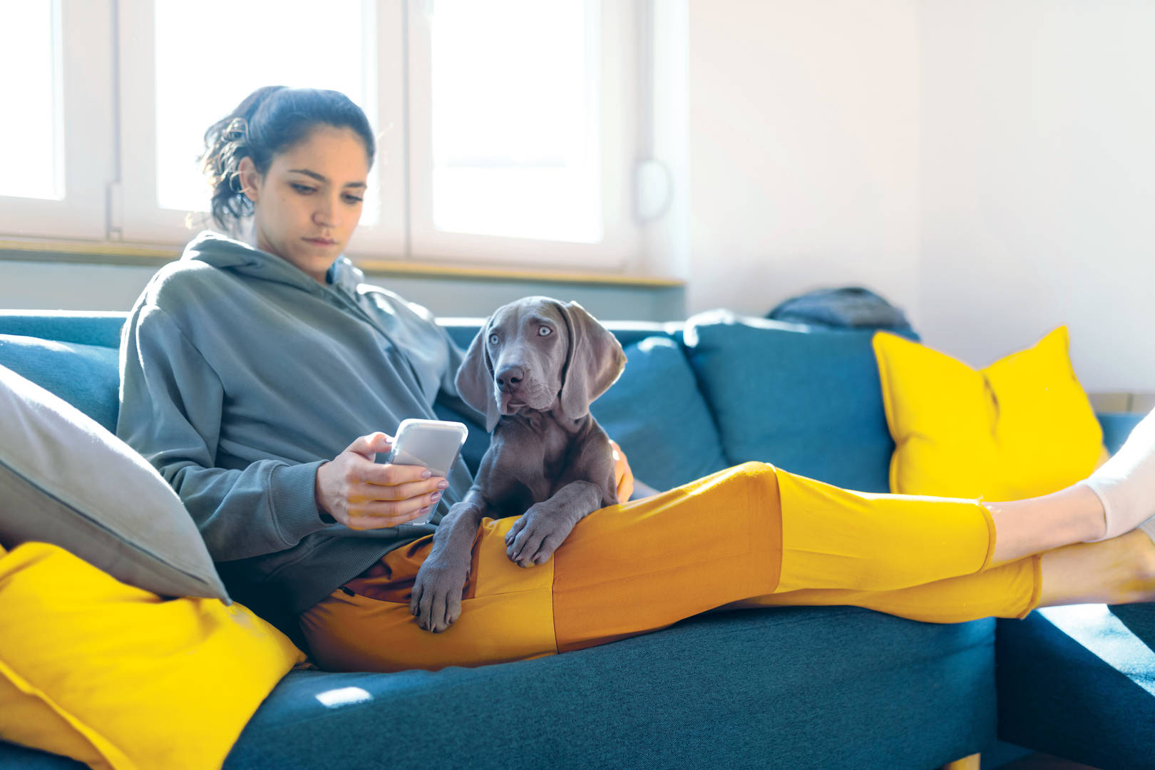 Woman with dog looking at phone