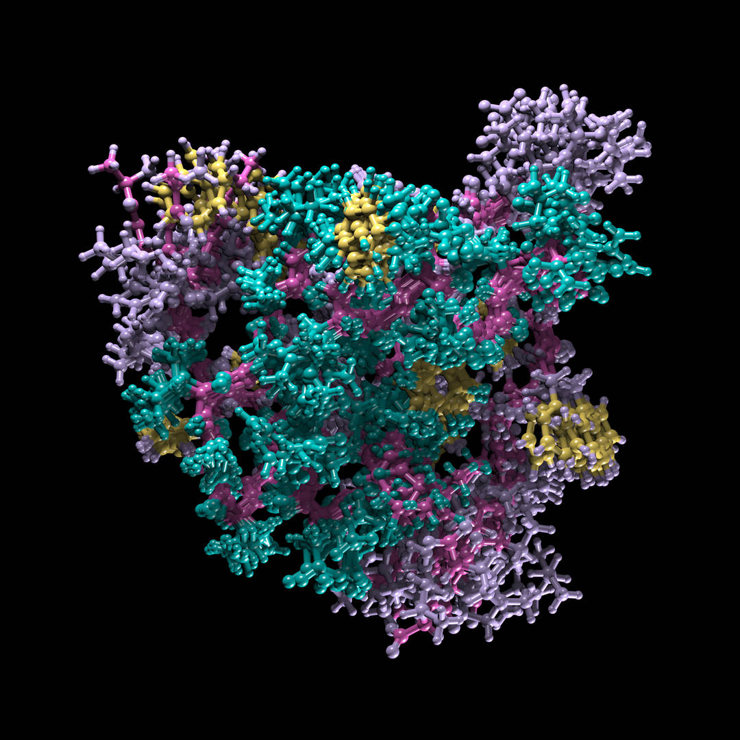 Insulin model texture