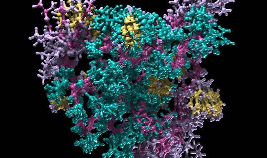 Insulin model texture