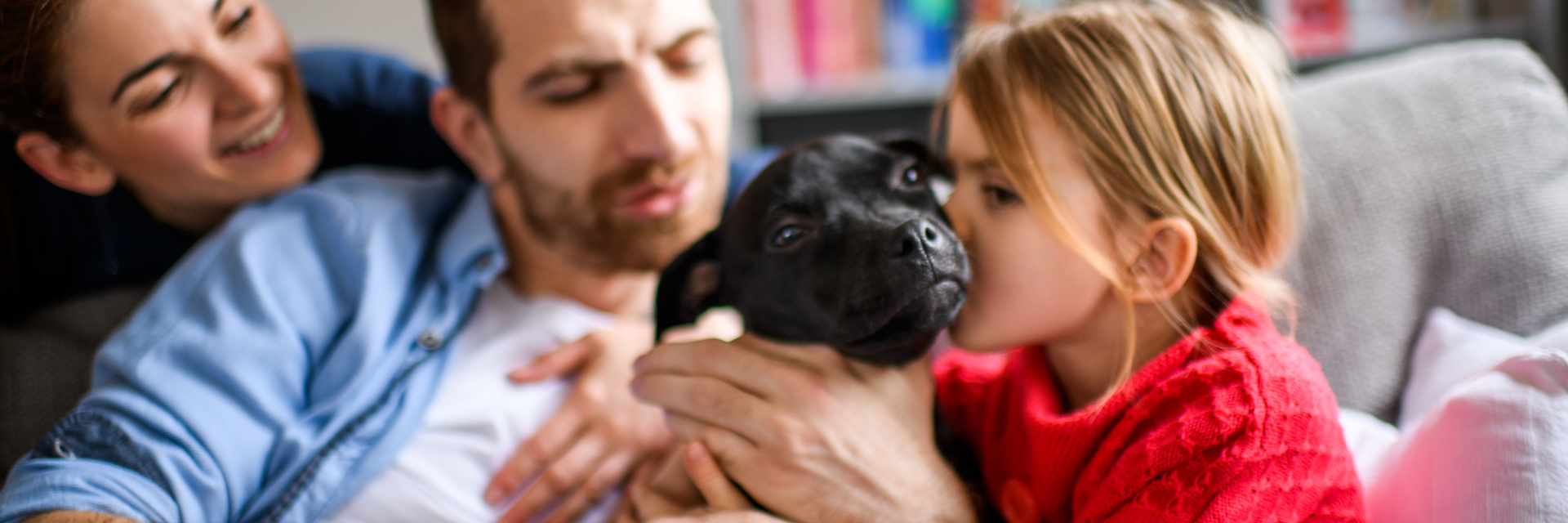 A family cuddling with a small black dog