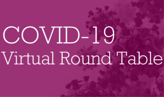 COVID 19 Virtual Round Table Carousel_IQSS