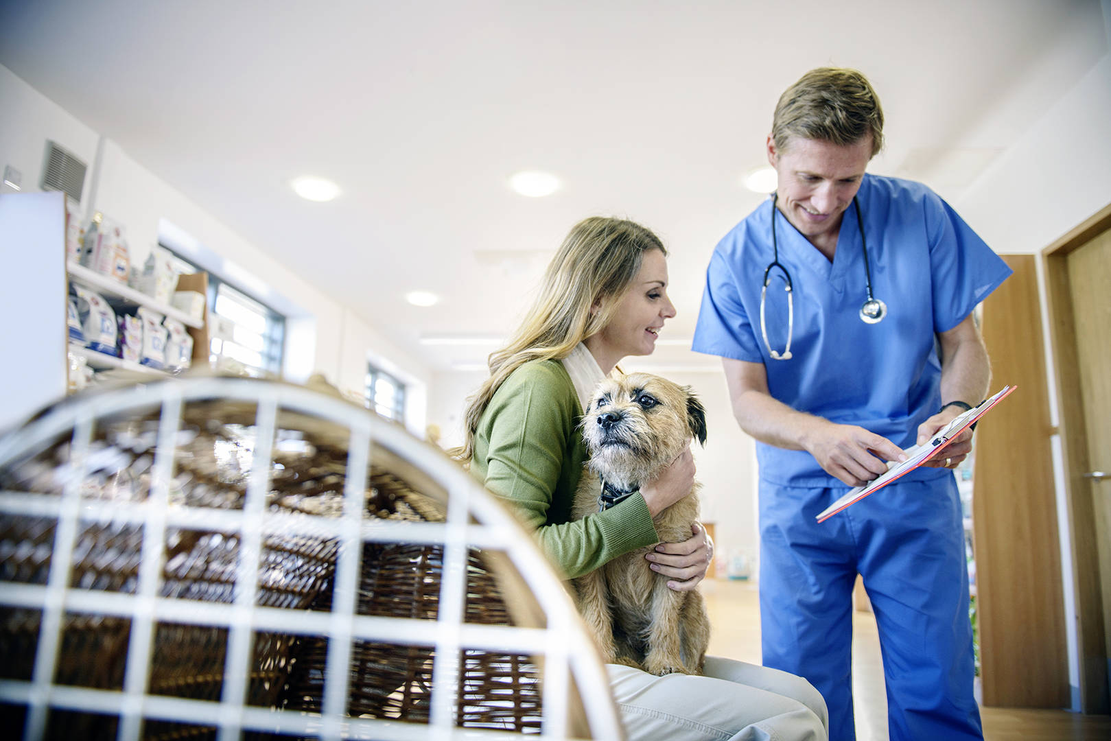 Veterinarian offers advice to woman