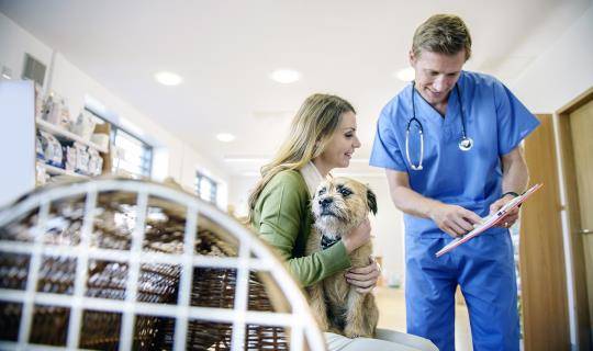 Veterinarian having a conversation with a client about regular pet care compliance