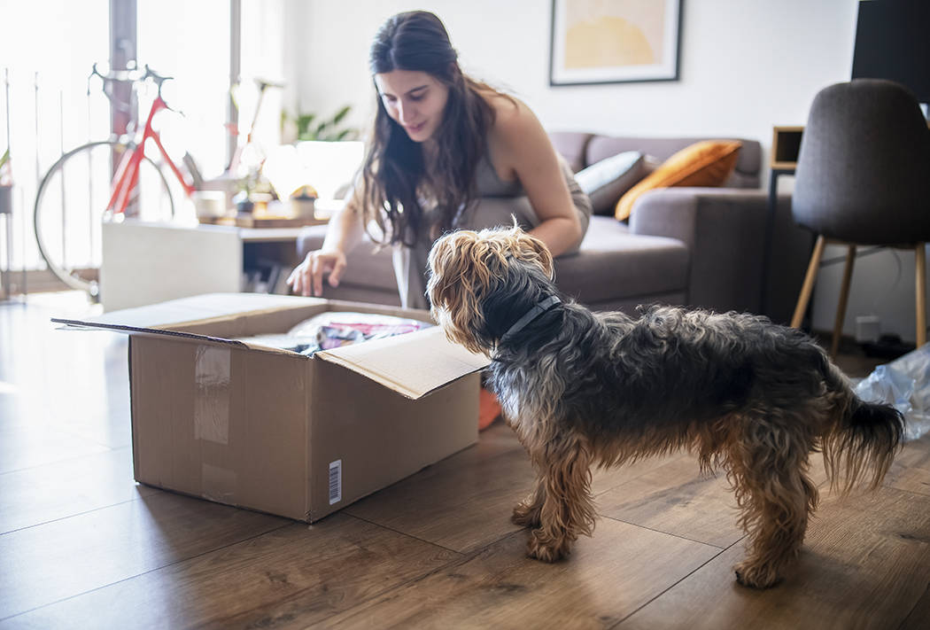 woman opens package as dog looks on