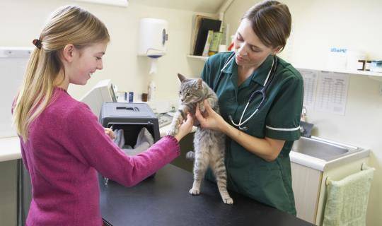 Young girl takes kitten to vet for new pet education