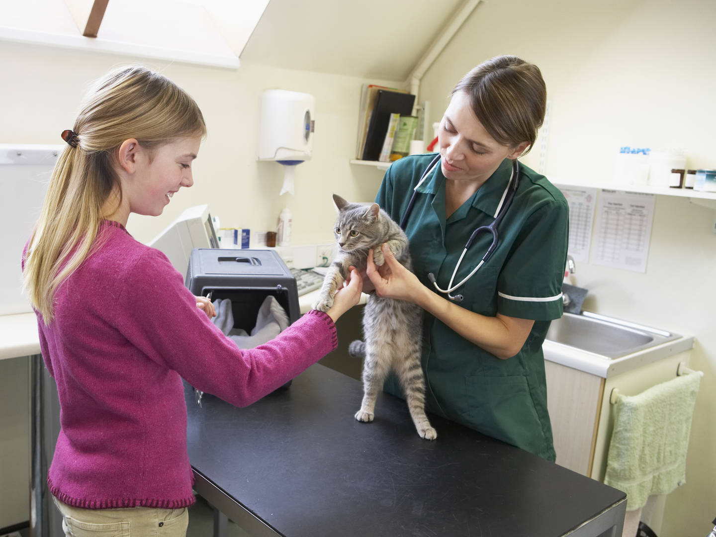 Young girl takes kitten to vet for new pet education