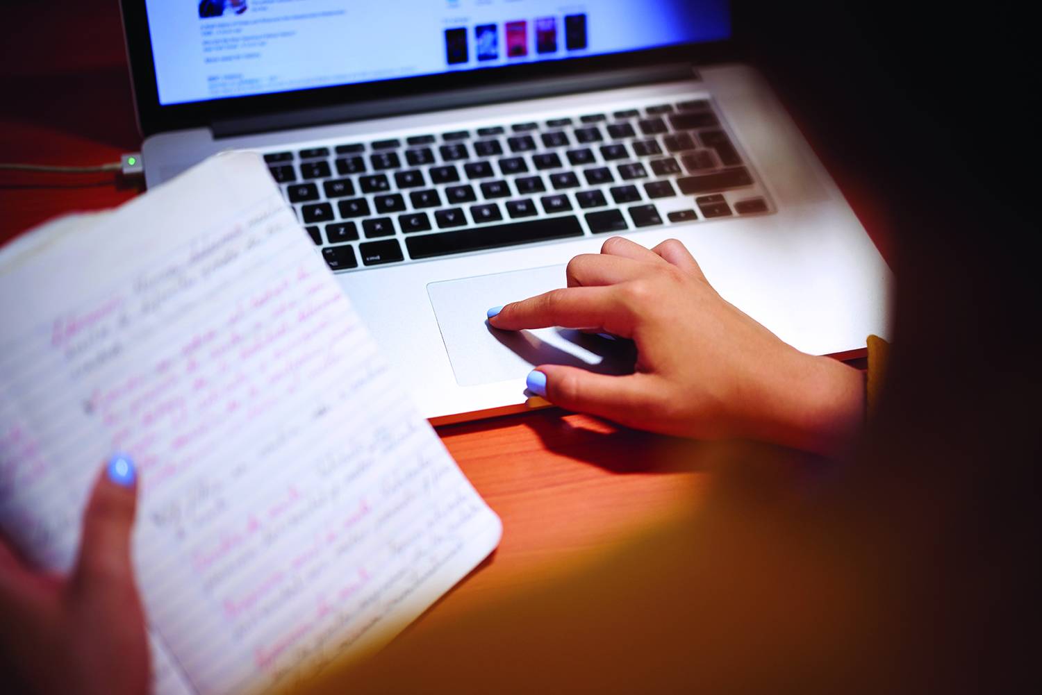 internet search rules notebook