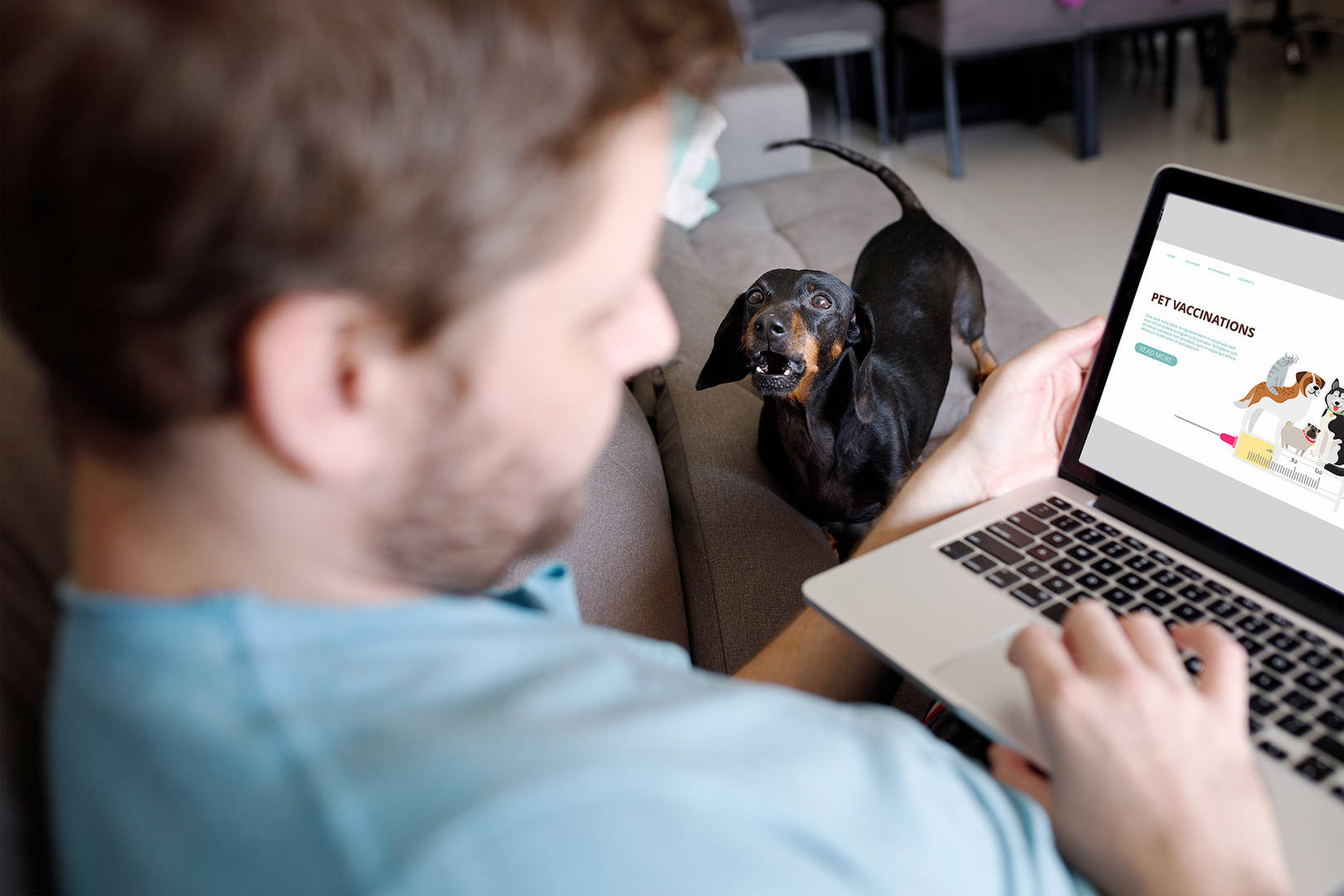 Man on computer researching pet vaccinations