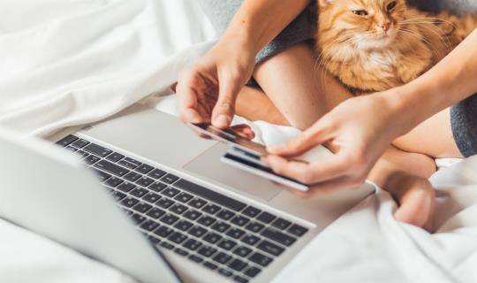 Woman looks at laptop with her cat and credit card