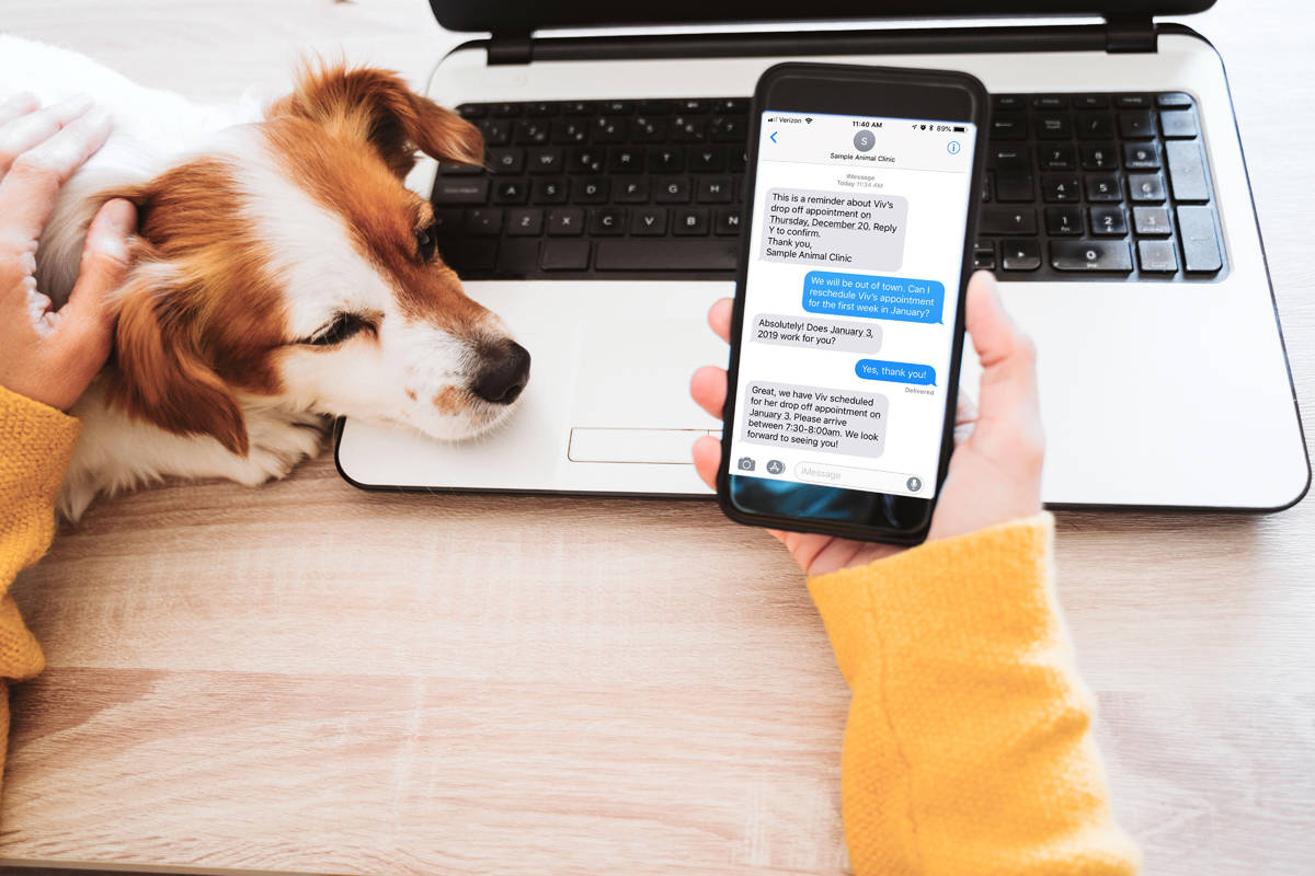 Woman's hand holding phone with AllyDVM's two-way texting platform displayed