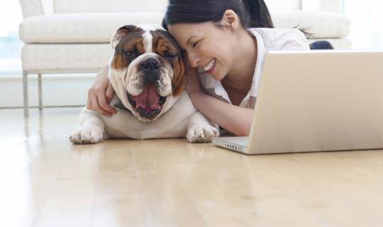 Young woman laughs with pug at laptop