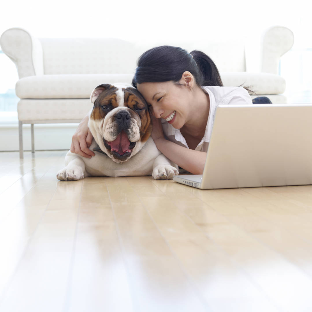 Young woman laughs with pug at laptop