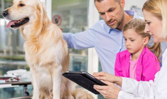 vet making recommendations to pet owner