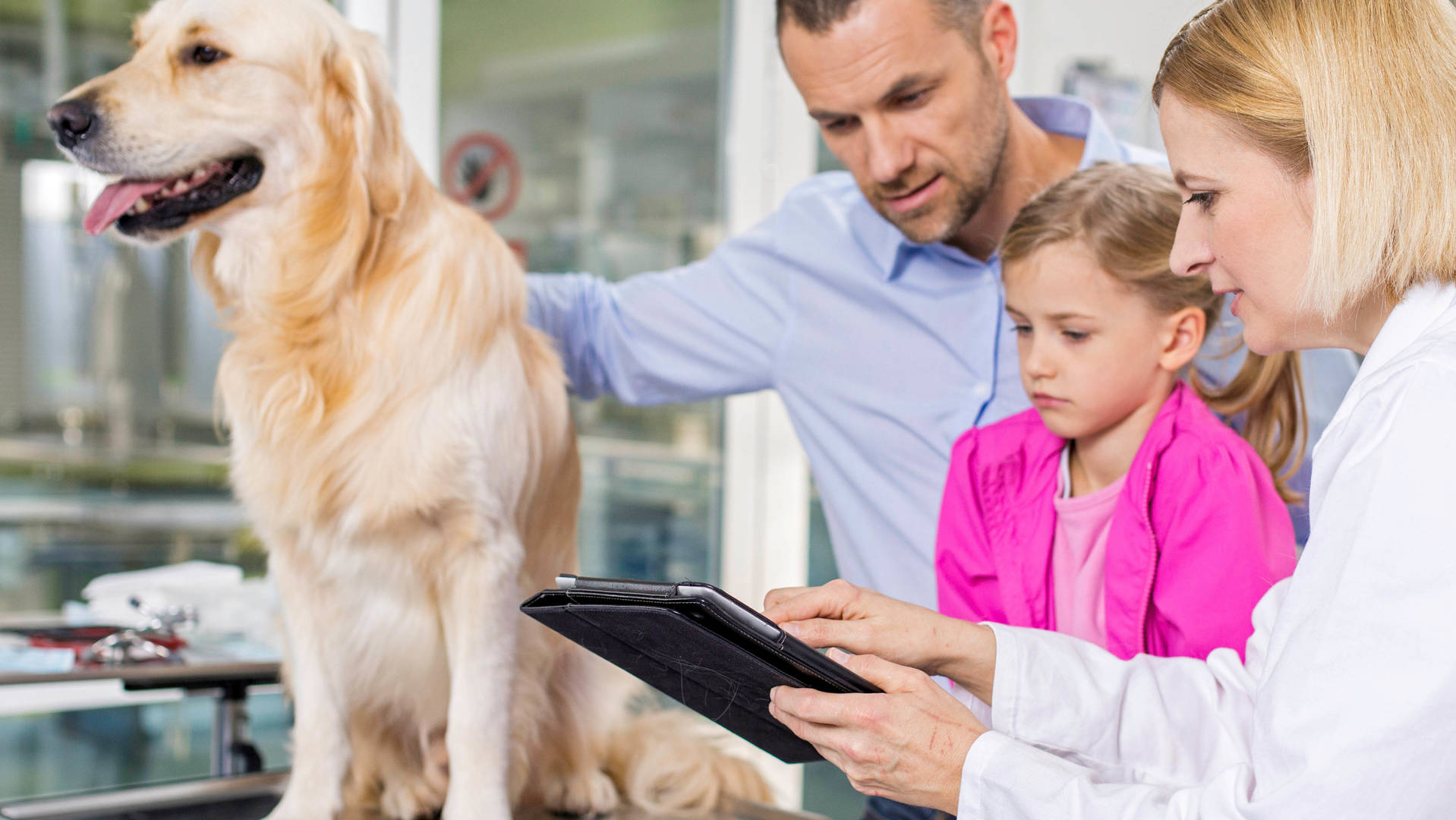 dog on table while vet shows pet owners preventive care plan on tablet