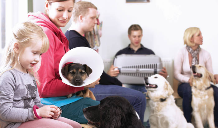 Veterinary clinic lobby