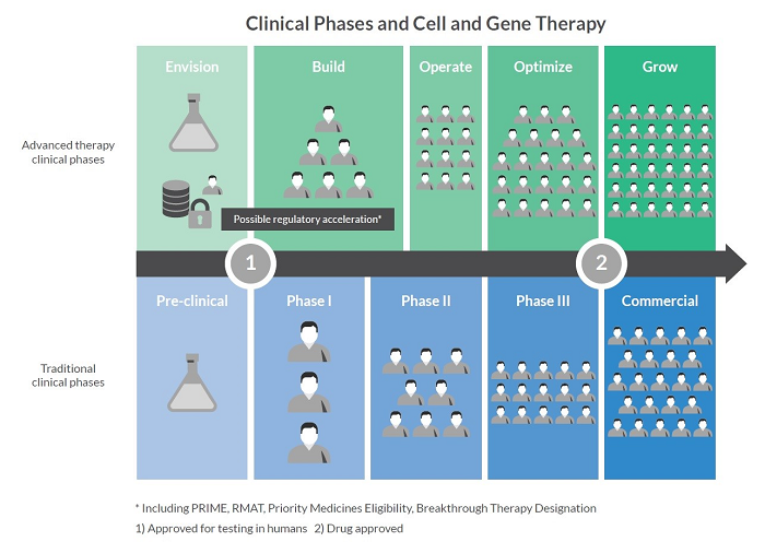 clinical phases for advanced therapies