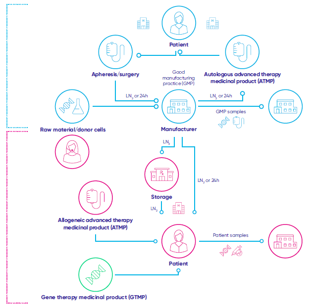 Infographic: How cryogenic logistics overcome the low tolerance for deviations of cell and gene therapies