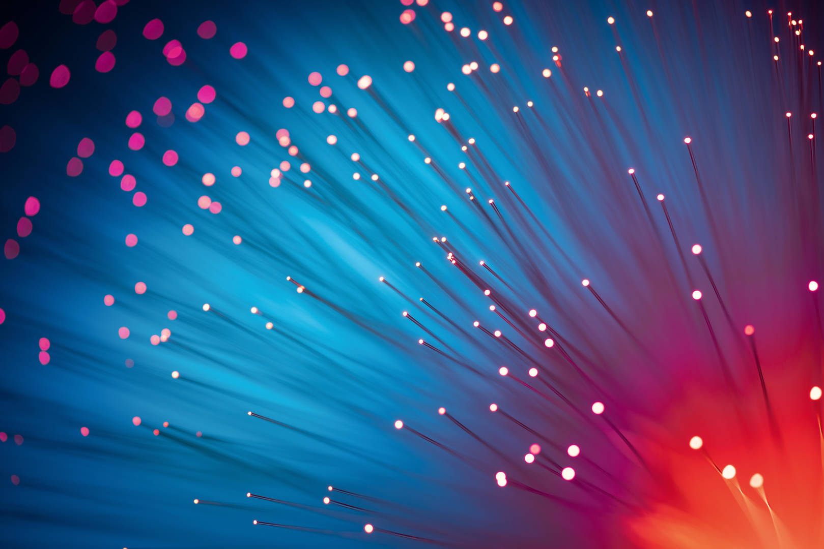Abstract image of Red Color Illuminated Fiber Optics Selective Focus on Blue Background.